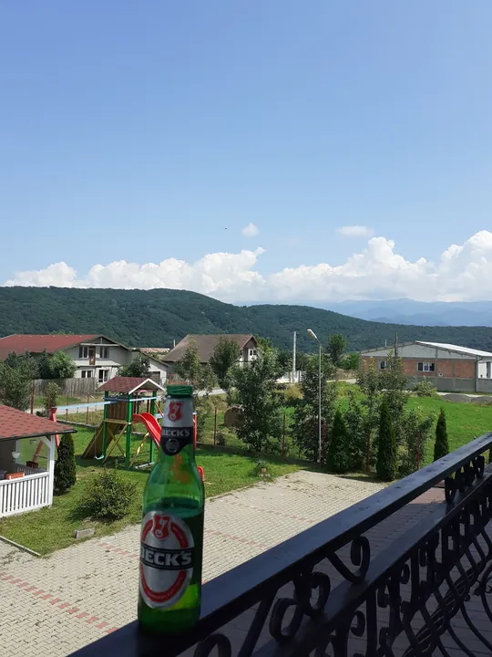 Grădina văzută de pe balcon